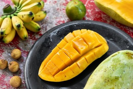 �����: ���������� ������� ������, ������� � ������ ������������ ���������