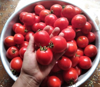 ��� ���������� �������� � ����������� ����: ������� � ������� ����