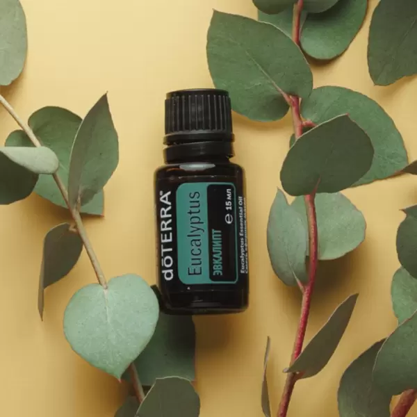 Эвкалиптовая ванна: секреты укрепления здоровья и дыхания