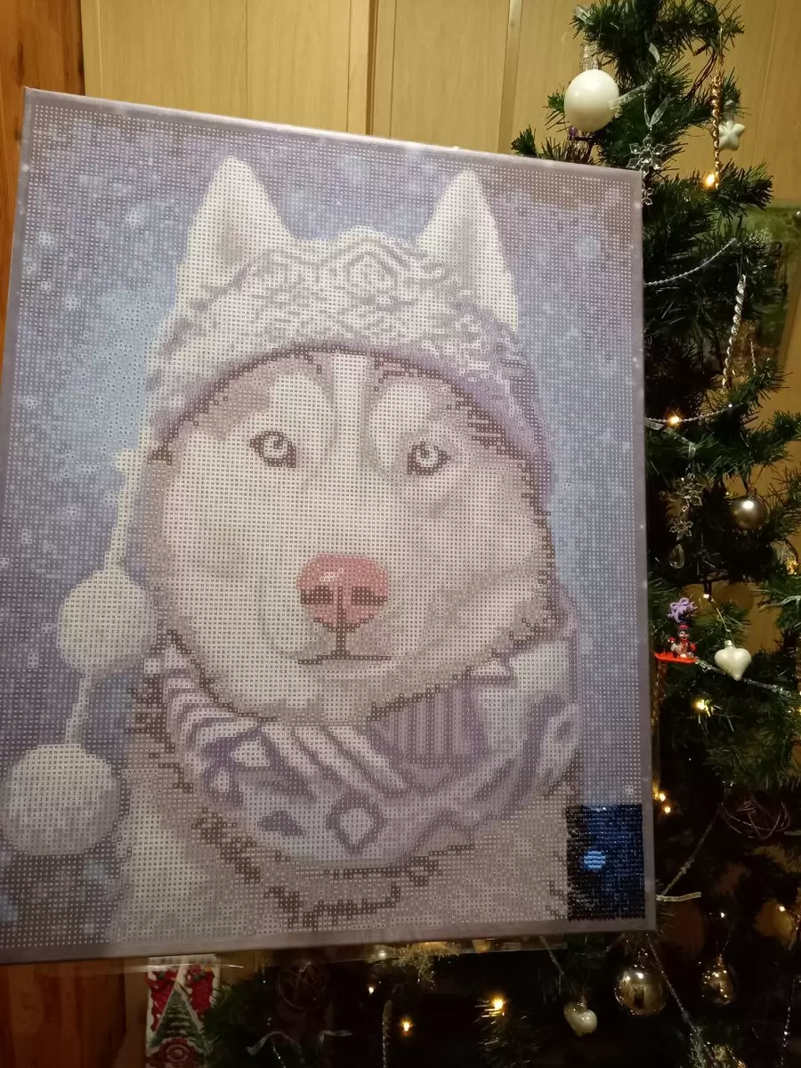 Проверенные покупки с Вайлдберриз, которые стоит заказать снова