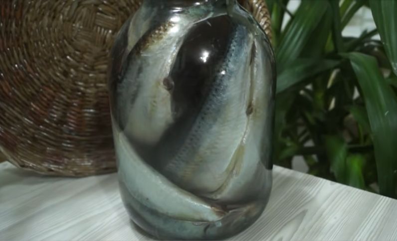 Секреты домашней засолки сельди: легкость и вкус в каждой банке
