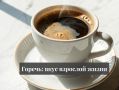 Как полюбить горечь: секреты вкусного знакомства с «сложными» продуктами